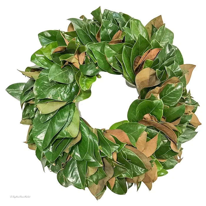 Wreaths - Magnolia1